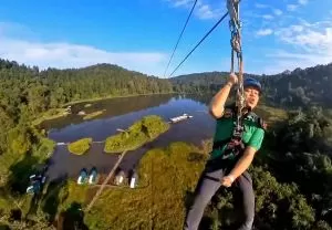 Katanya Flying Fox ini Terpanjang yang Pernah Ada