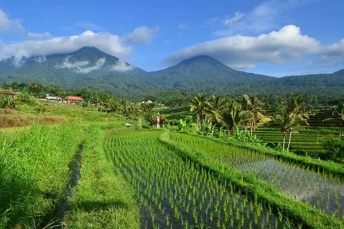 Desa di Bali dan Yogyakarta Jadi Desa Wisata Terbaik di Dunia 2024