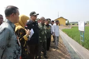 Upaya Pemerintah untuk Menjaga Ketahanan Pangan di Tengah Ancaman El Nino