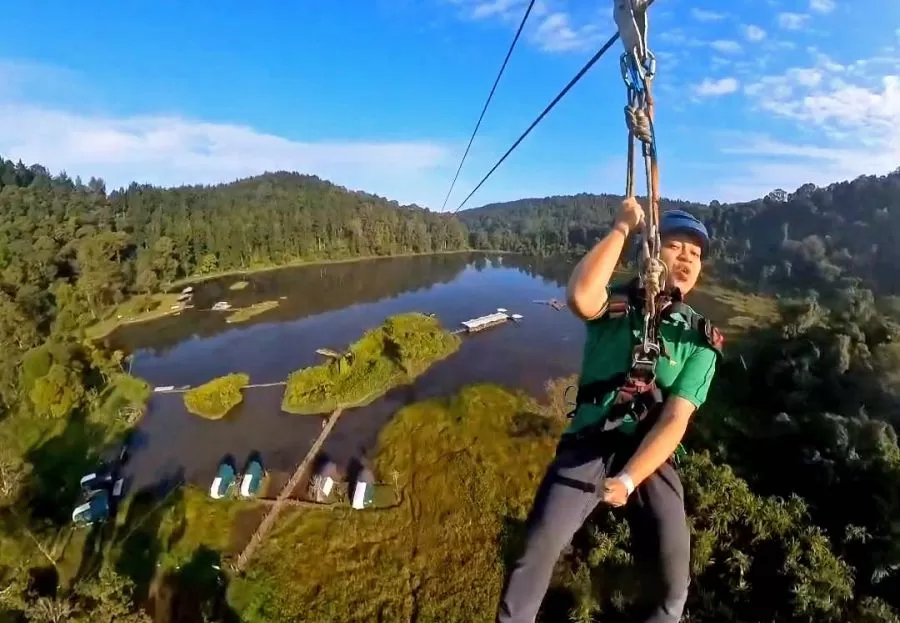 Katanya Flying Fox ini Terpanjang yang Pernah Ada