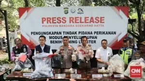 Polisi Gagalkan Penyelundupan Ratusan Ribu Benih Lobster Tujuan Singapura