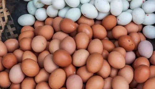 Telur Ayam atau Telur Bebek, Mana yang Lebih Baik?