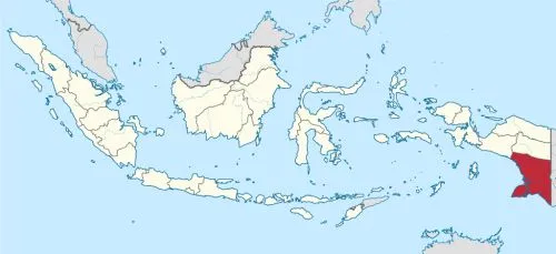 Daftar Nama Kabupaten, Kota, Kecamatan, Kelurahan, Desa, di Provinsi Papua Selatan