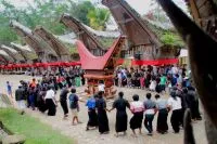 Rambu Solo: Makna dan Simbolisme dalam Upacara Kematian Toraja