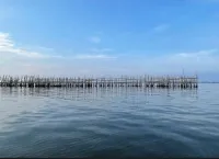 Drone Dikerahkan untuk Memantau Pagar Laut Misterius di Pulau C Reklamasi