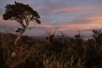 Taman Nasional dan Cagar Alam Utama di Tanah Air