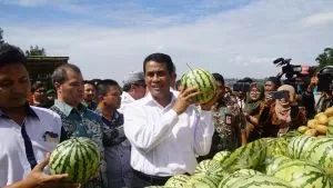Kembali Ditunjuk jadi Menteri Pertanian, Ini Deretan Prestasi Amran Sulaiman