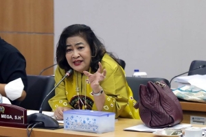 Anggota DPRD DKI Jakarta, Cinta Mega