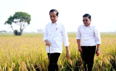 Presiden Joko Widodo didampingi Arief Prasetyo Adi lakukan panen padi di Subang, Jawa Barat, Minggu (8/10/2023). 